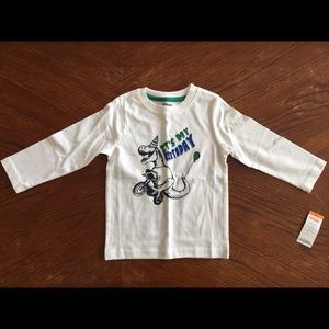 Gymboree Birthday Tee | Boys 18-24 months